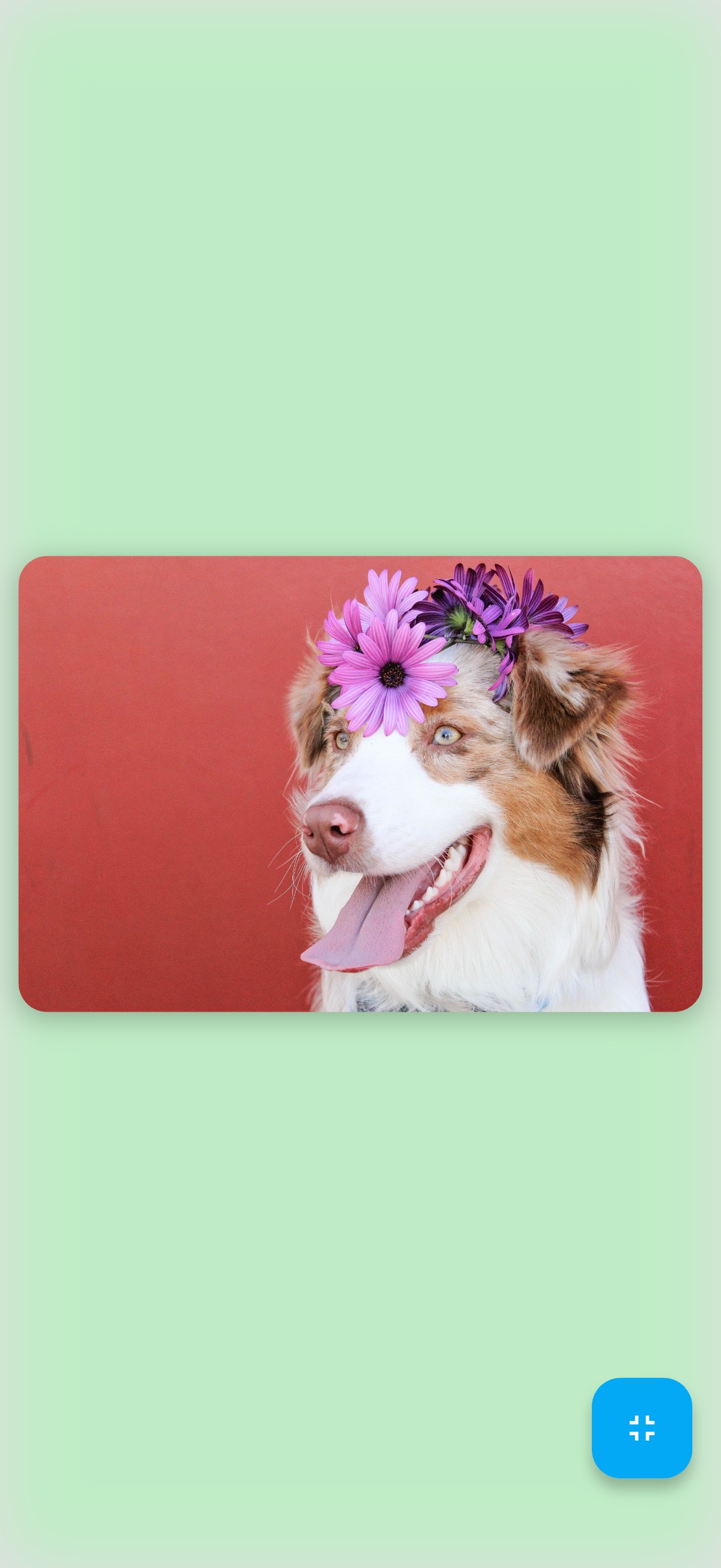 Breathe Cute App Screenshot 1