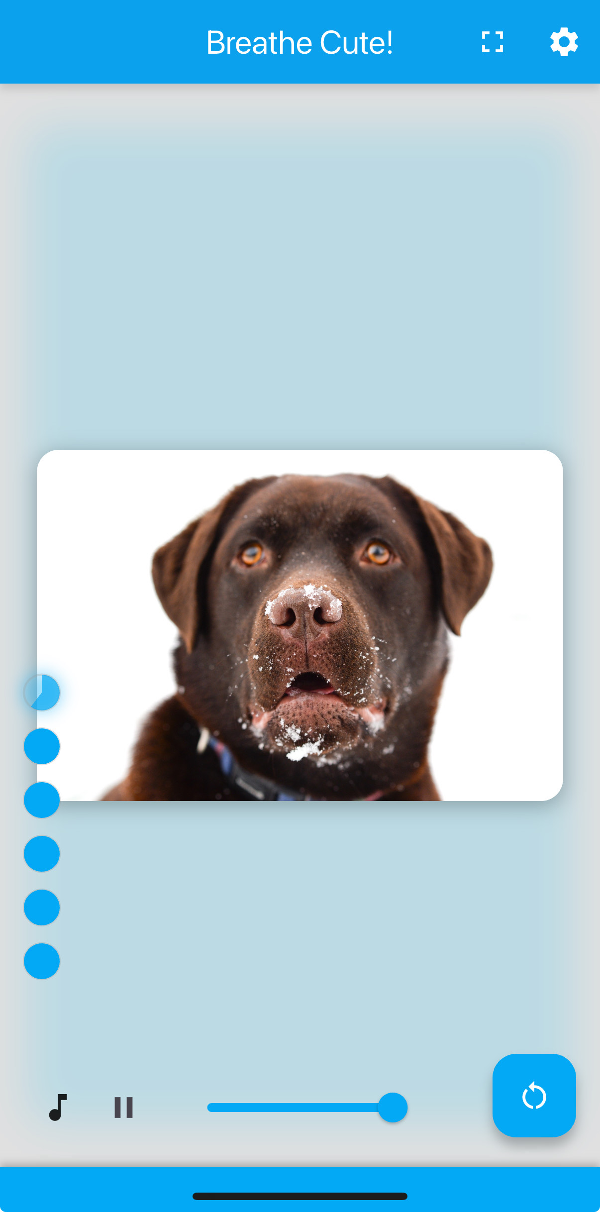 Breathe Cute App Screenshot 2